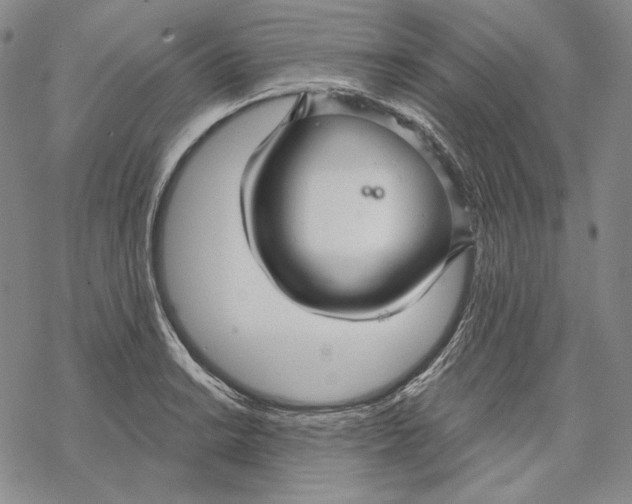 X0000068771038200605191643