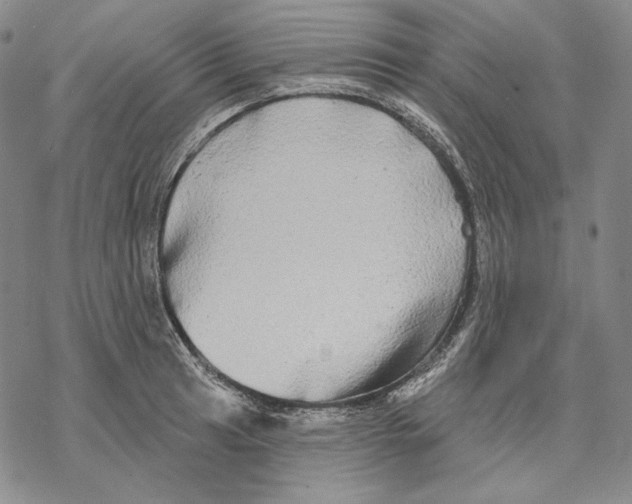 X0000068771041200605191643