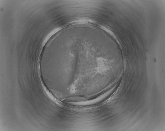 X0000068771042200605191643