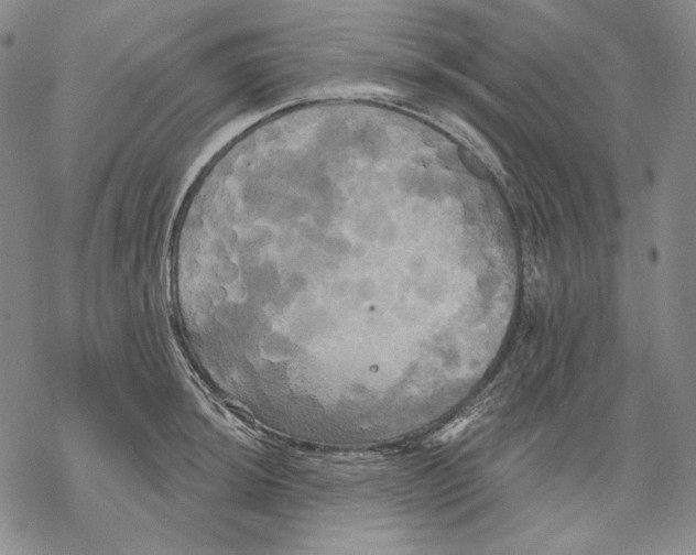 X0000068771044200605191643