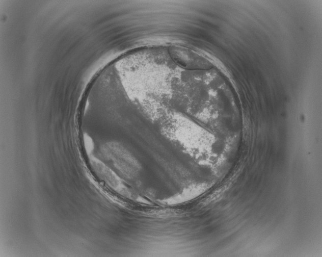 X0000068771045200605191643