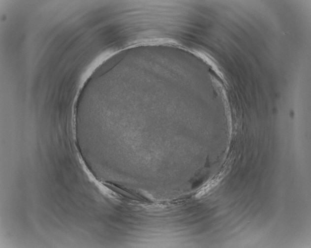 X0000068771046200605191643