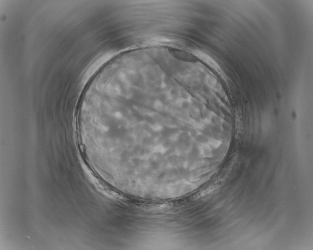 X0000068771047200605191643