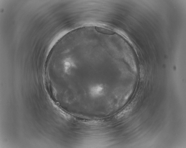 X0000068771048200605191643