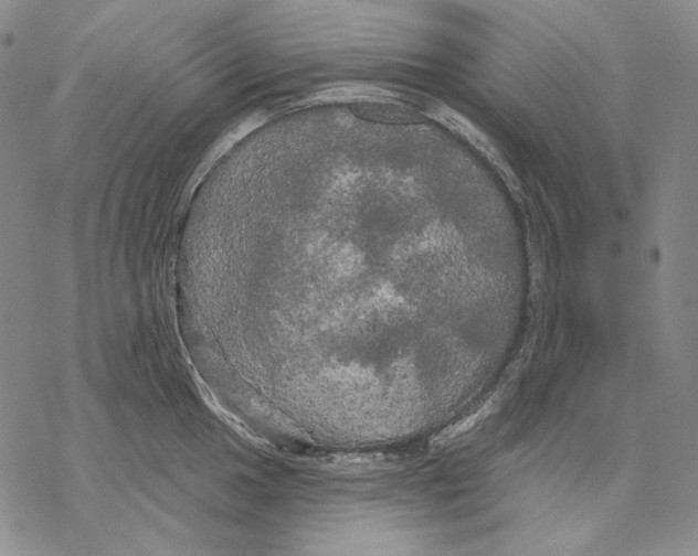 X0000068771049200605191643