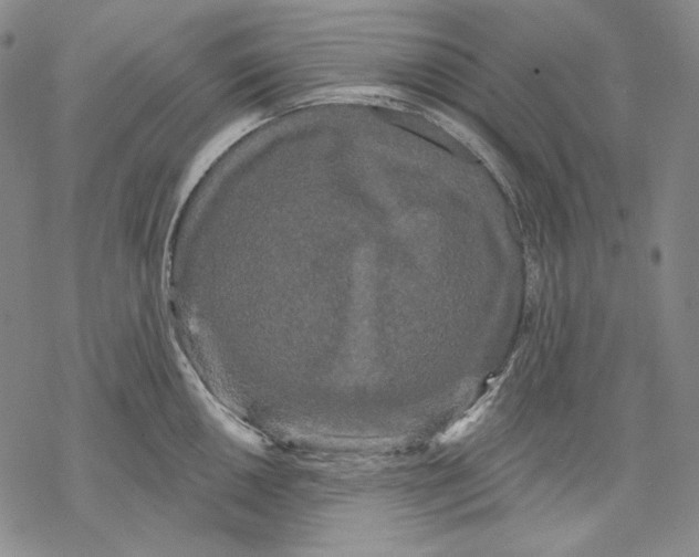 X0000068771050200605191643