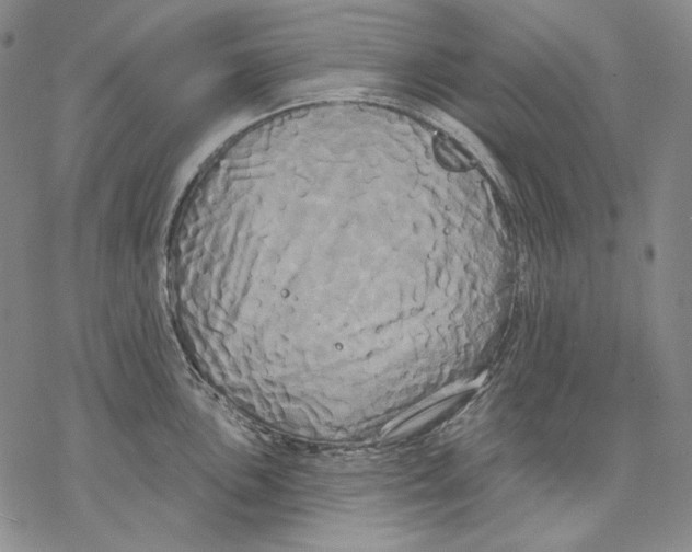 X0000068771051200605191643