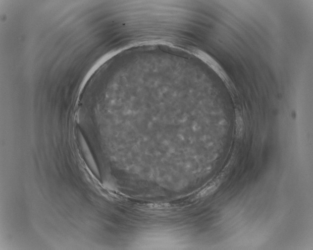 X0000068771052200605191643