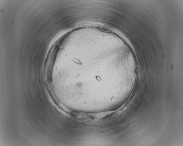 X0000068771053200605191643