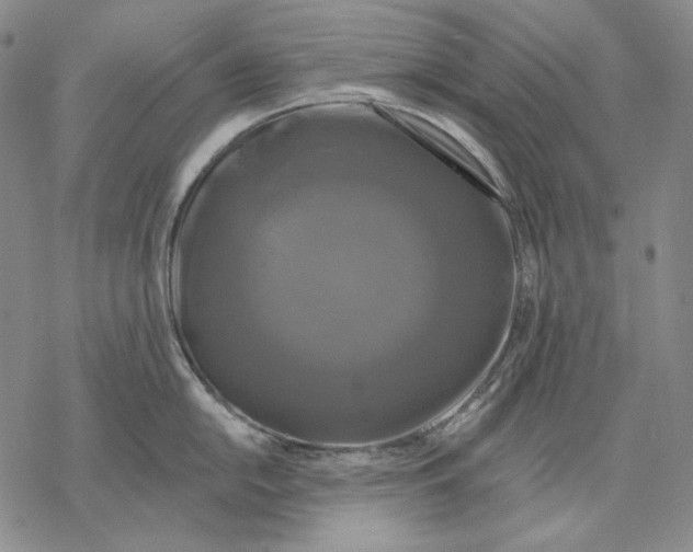 X0000068771054200605191643