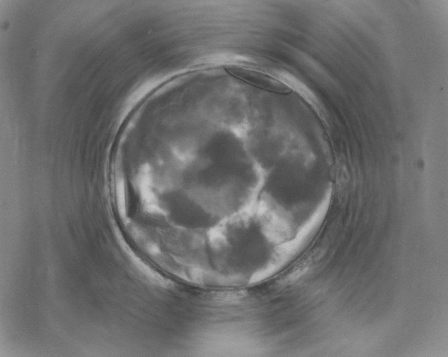 X0000068771055200605191643