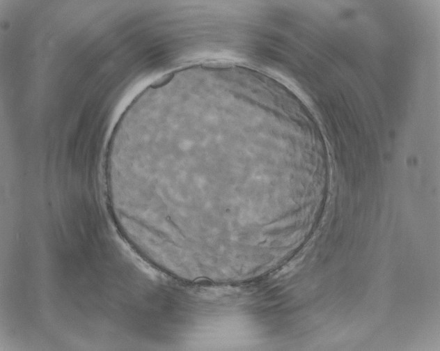 X0000068771056200605191643