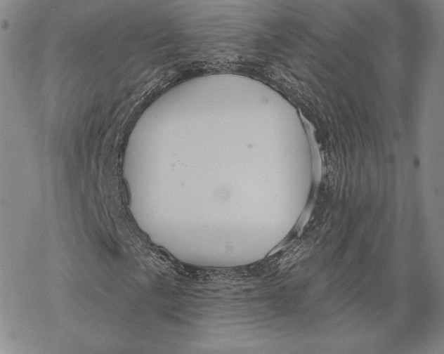 X0000068771057200605191643