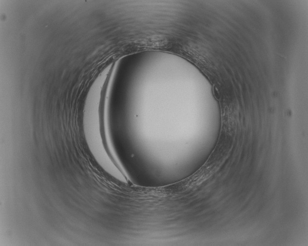 X0000068771058200605191643