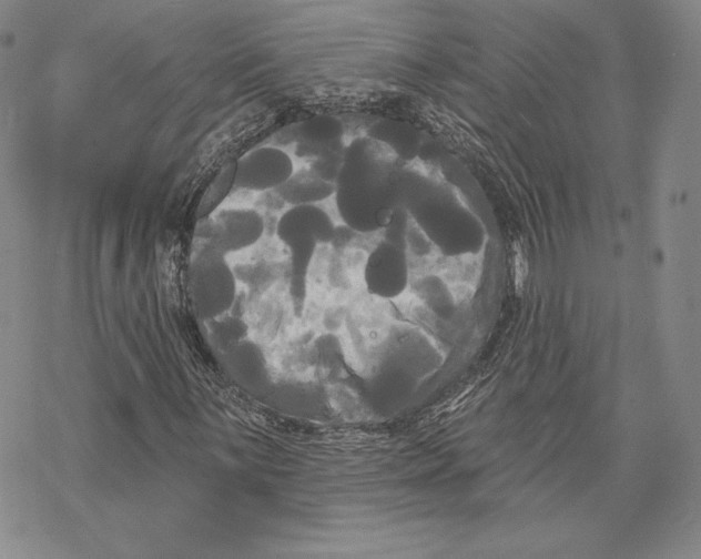 X0000068771059200605191643