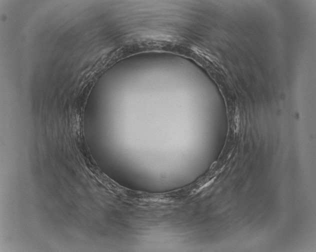 X0000068771061200605191642