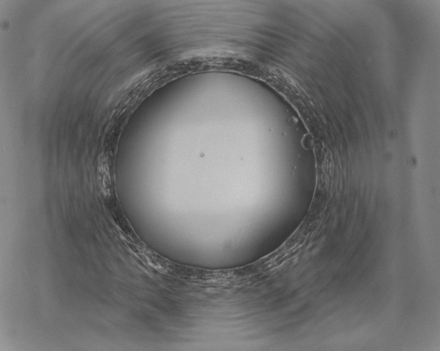 X0000068771062200605191642