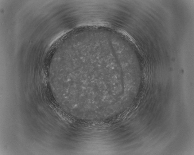 X0000068771064200605191642