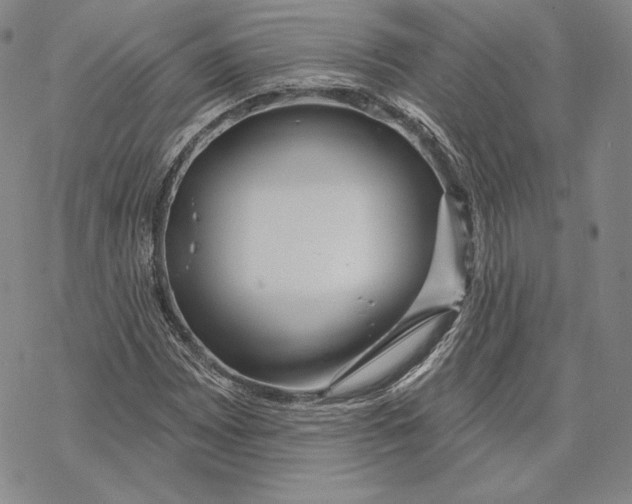 X0000068771065200605191642