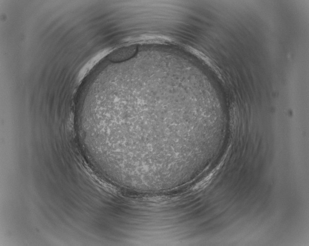 X0000068771066200605191642