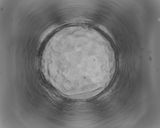 X0000068771067200605191642