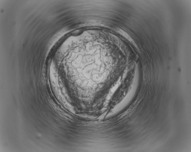 X0000068771068200605191642