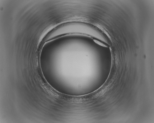 X0000068771069200605191642