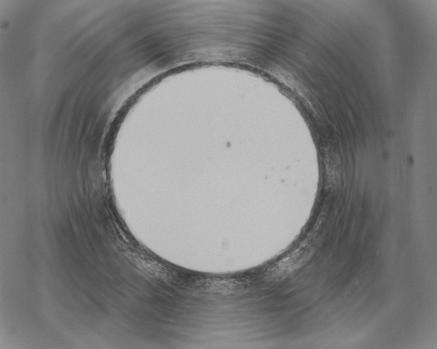 X0000068771070200605191642