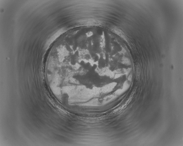 X0000068771071200605191642