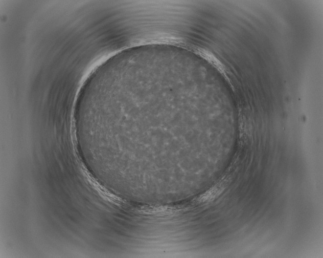 X0000068771072200605191642