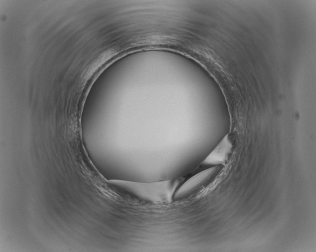 X0000068771073200605191642