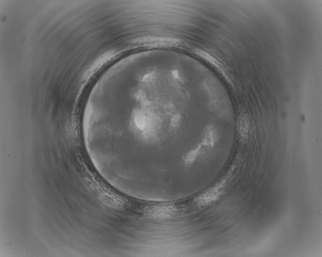 X0000068771074200605191642