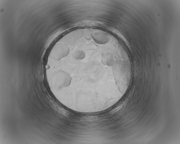 X0000068771075200605191642