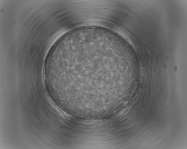 X0000068771076200605191642