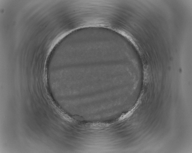 X0000068771077200605191642