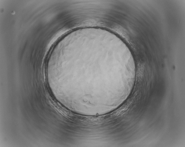 X0000068771078200605191642