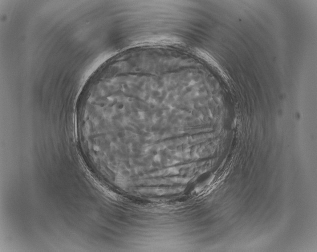 X0000068771079200605191642