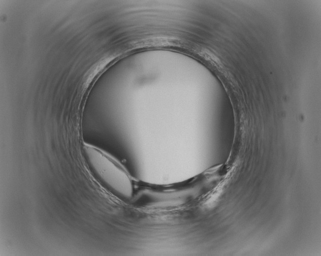 X0000068771081200605191642