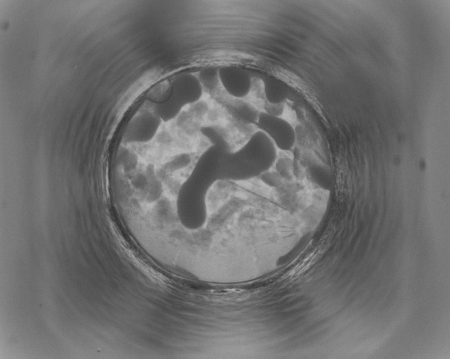 X0000068771083200605191642