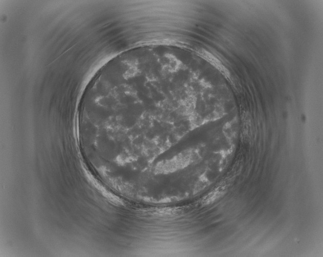 X0000068771084200605191642