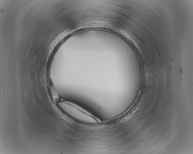 X0000068771085200605191642