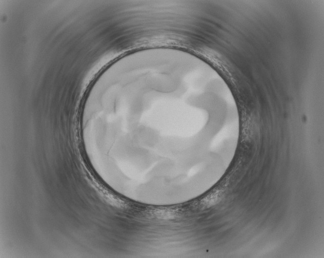 X0000068771086200605191642