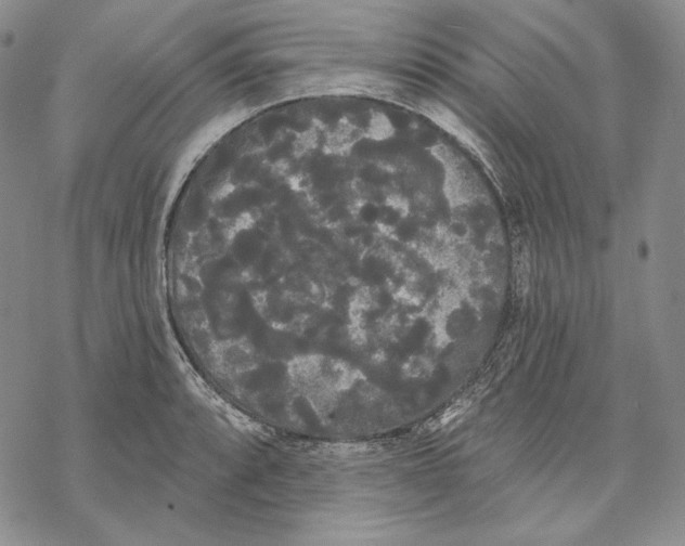 X0000068771088200605191642