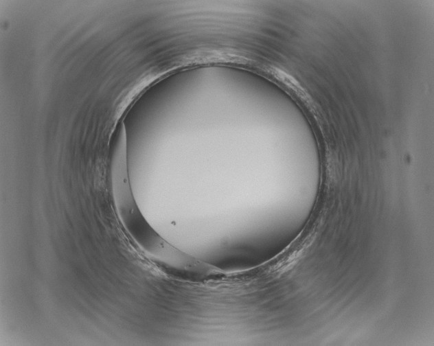 X0000068771089200605191642