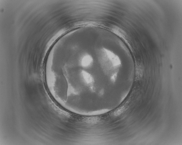 X0000068771090200605191642