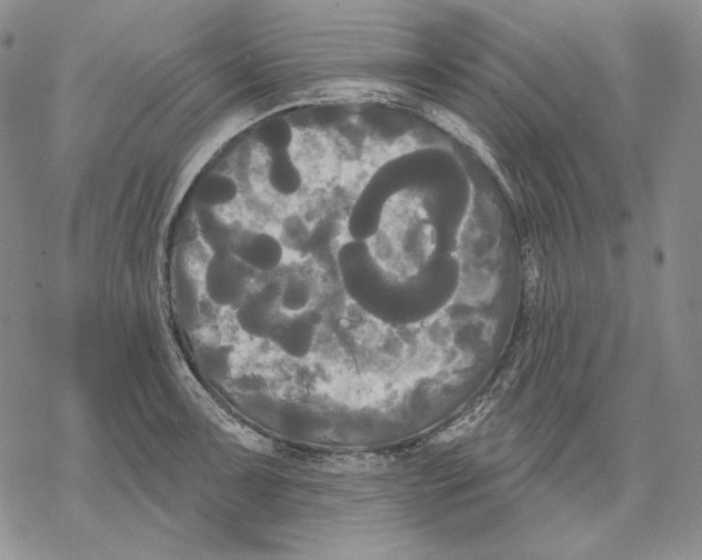 X0000068771091200605191642