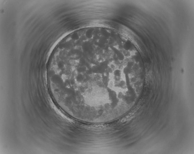 X0000068771092200605191642