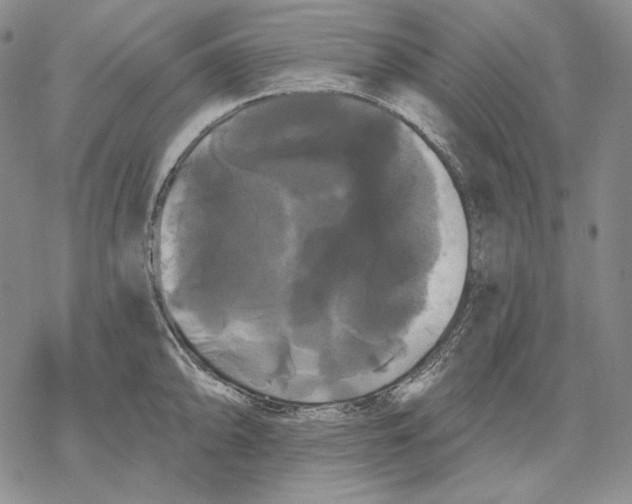 X0000068771094200605191642