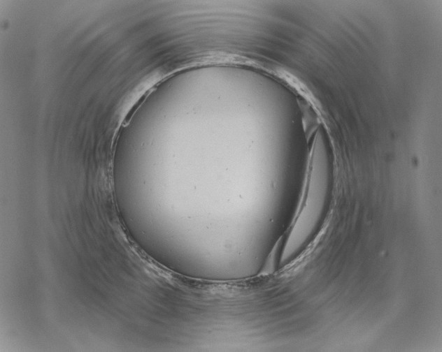 X0000068771097200605191642