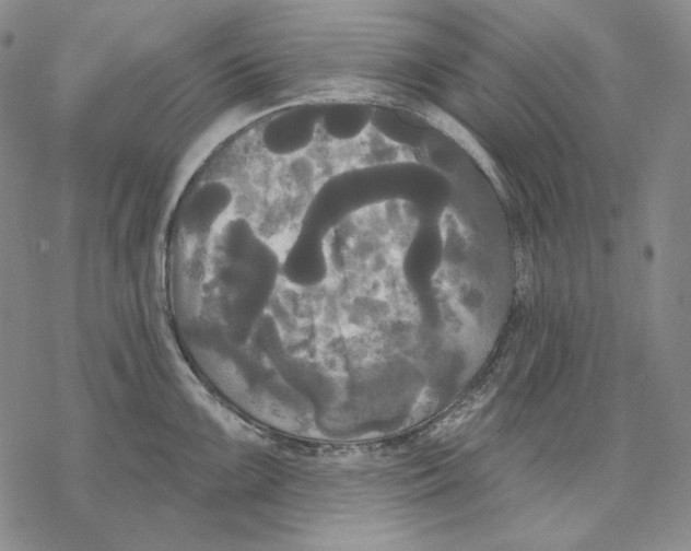 X0000068771099200605191642